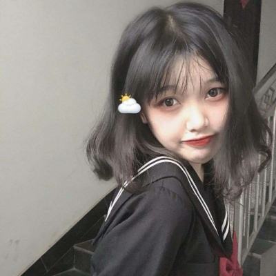 口袋进化小米版下载